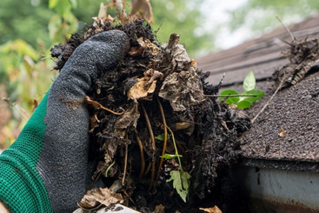 Gutter Cleaning