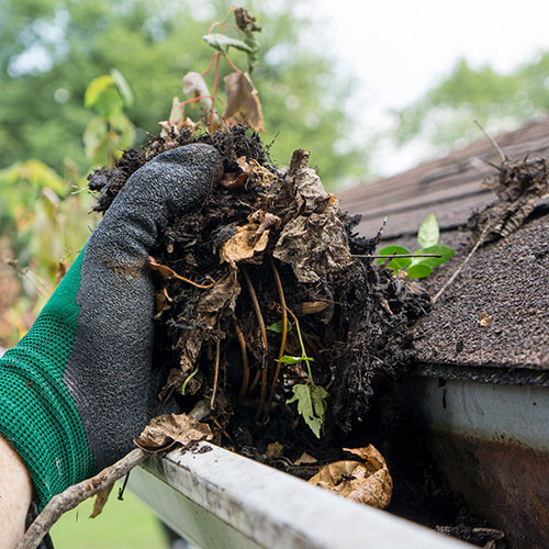 Gutter Cleaning Service Image